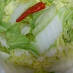 白菜の昆布茶浅漬け ポリ袋で レシピ 作り方 By ジョンとポーク 楽天レシピ 白菜の昆布茶浅漬け ポリ袋で レシピ 作り方 By ジョンとポーク 楽天レシピ